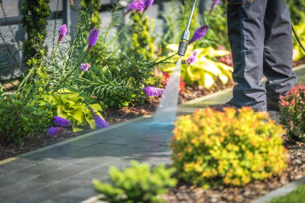 Best Spring Cleaning  in Swartzville, PA