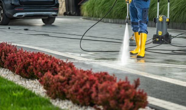 Best Dumpster Area Cleaning  in Swartzville, PA
